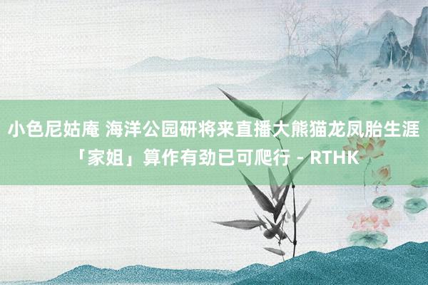 小色尼姑庵 海洋公园研将来直播大熊猫龙凤胎生涯 「家姐」算作有劲已可爬行 - RTHK