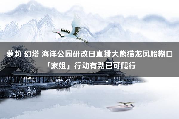萝莉 幻塔 海洋公园研改日直播大熊猫龙凤胎糊口 「家姐」行动有劲已可爬行
