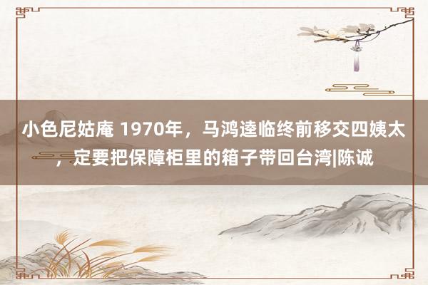 小色尼姑庵 1970年，马鸿逵临终前移交四姨太，定要把保障柜里的箱子带回台湾|陈诚