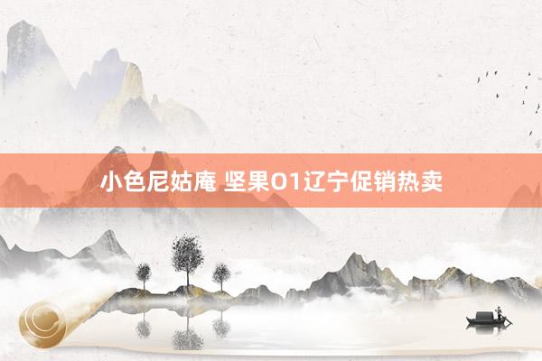 小色尼姑庵 坚果O1辽宁促销热卖