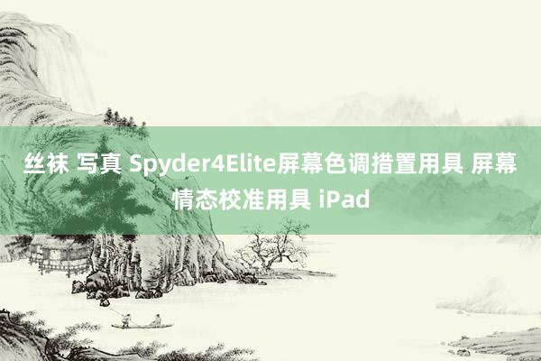 丝袜 写真 Spyder4Elite屏幕色调措置用具 屏幕情态校准用具 iPad