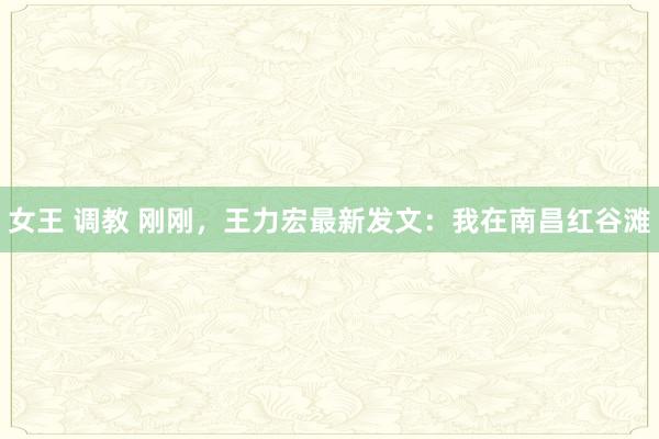 女王 调教 刚刚，王力宏最新发文：我在南昌红谷滩