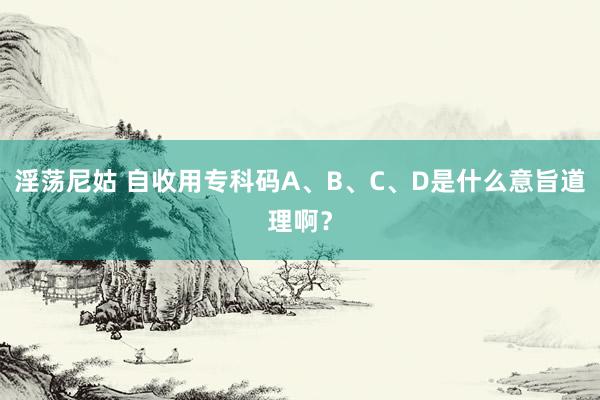 淫荡尼姑 自收用专科码A、B、C、D是什么意旨道理啊？