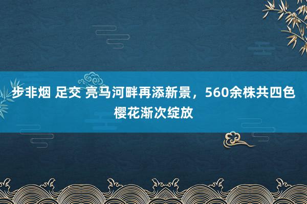 步非烟 足交 亮马河畔再添新景，560余株共四色樱花渐次绽放