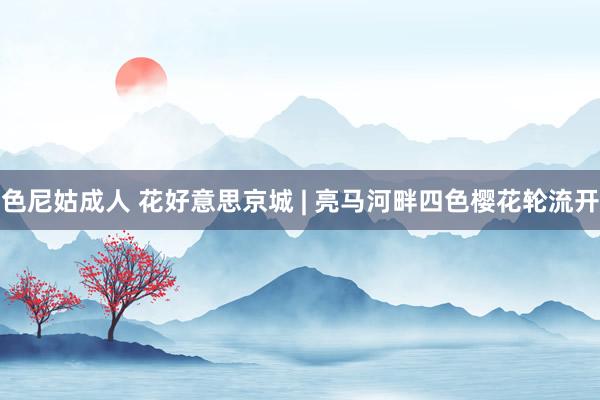 色尼姑成人 花好意思京城 | 亮马河畔四色樱花轮流开