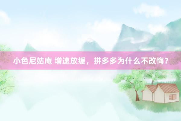小色尼姑庵 增速放缓，拼多多为什么不改悔？
