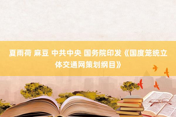 夏雨荷 麻豆 中共中央 国务院印发《国度笼统立体交通网策划纲目》