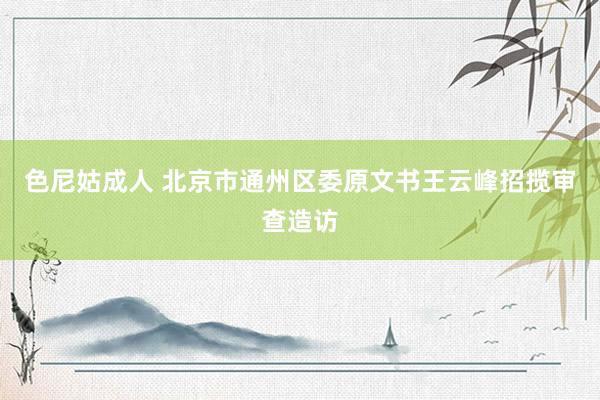 色尼姑成人 北京市通州区委原文书王云峰招揽审查造访