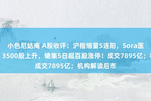 小色尼姑庵 A股收评：沪指缩量5连阳，Sora医药集体爆发，3500股上升，辘集5日超百股涨停！成交7895亿；机构解读后市