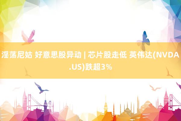 淫荡尼姑 好意思股异动 | 芯片股走低 英伟达(NVDA.US)跌超3%