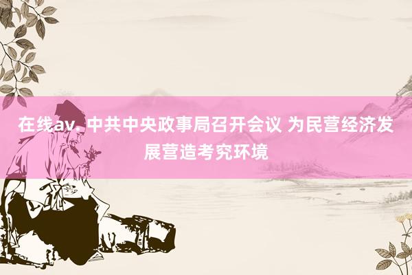 在线av. 中共中央政事局召开会议 为民营经济发展营造考究环境