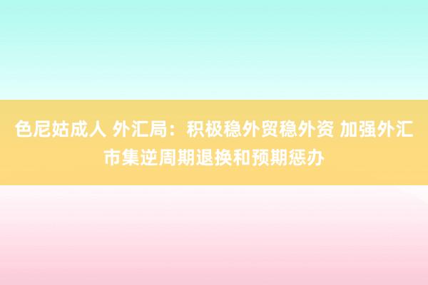 色尼姑成人 外汇局：积极稳外贸稳外资 加强外汇市集逆周期退换和预期惩办