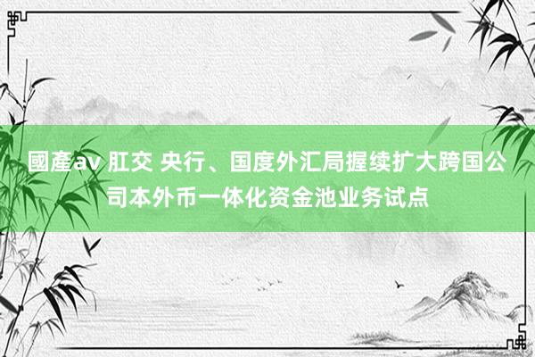 國產av 肛交 央行、国度外汇局握续扩大跨国公司本外币一体化资金池业务试点