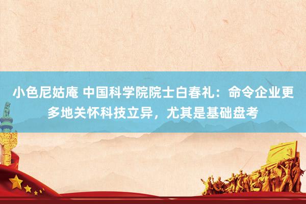 小色尼姑庵 中国科学院院士白春礼：命令企业更多地关怀科技立异，尤其是基础盘考