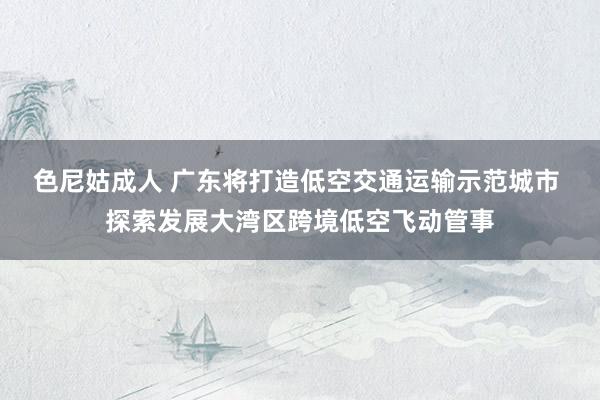 色尼姑成人 广东将打造低空交通运输示范城市 探索发展大湾区跨境低空飞动管事